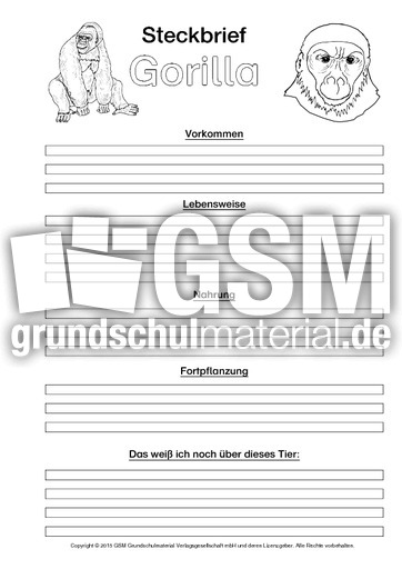 Gorilla-Steckbriefvorlage-sw.pdf